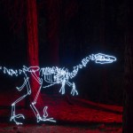 Dinosaur Light Paintings_4