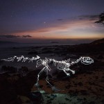 Dinosaur Light Paintings_9