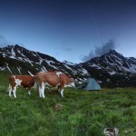 Hohe Tauern, 1,900m Alps, Austria Hohe Tauern, 1,900m Alps, Austria