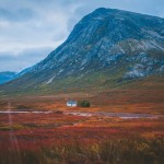 Into the Wild Photography_0