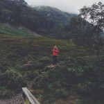 Into the Wild Photography_11