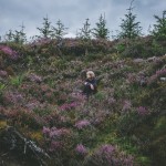 Into the Wild Photography_7