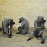 Lifelike Wire Animal Sculptures_2