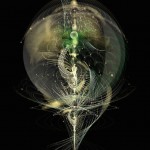 Magical Complexity Graphics-8