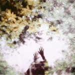 Magical Double Exposure in The Forest-14