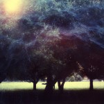 Magical Double Exposure in The Forest-16