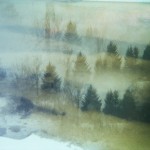 Magical Double Exposure in The Forest-20