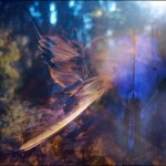 Magical Double Exposure in The Forest-22b