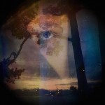 Magical Double Exposure in The Forest-5