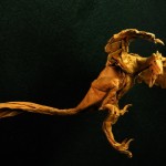 Masterful Dinosaur and Creature Origami-0