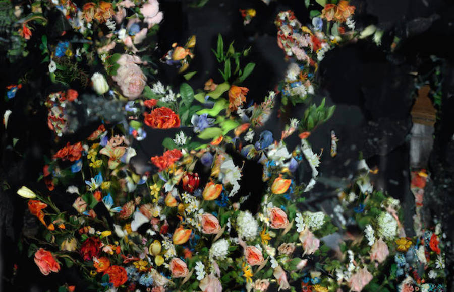 Exploding Flowers Reflected in Broken Mirrors