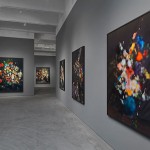 Ori_Gersht_CRG_14