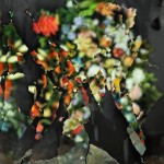 Ori_Gersht_CRG_4