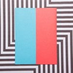 Pleno Visual Identity by Futura-9