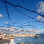 Seagull Skytrails-6