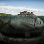 Surreal Optical Illusions Photography_0