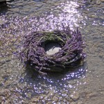 The Beauty of Nature_2