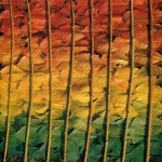 The Beauty of Nature_3