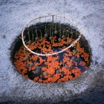 The Beauty of Nature_4