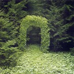 The Beauty of Nature_7