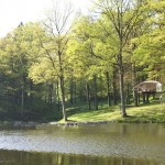 The Domup Treehouse_10