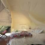 The Domup Treehouse_4