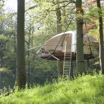 The Domup Treehouse_8