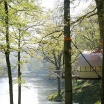 The Domup Treehouse_9
