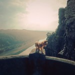 Travel Where You Live6