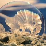 bubbles00