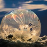 bubbles04
