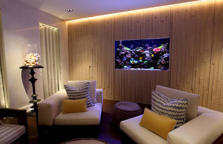Using a bespoke aquarium to create a relaxing and exotic place