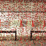 paperpoppies01