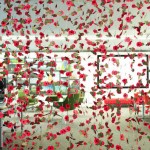 paperpoppies07