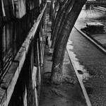 peterturnley-17