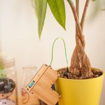 plantsfriends-6