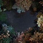 After Taking LSD Photography_2