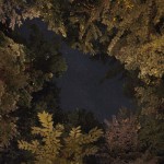 After Taking LSD Photography_5