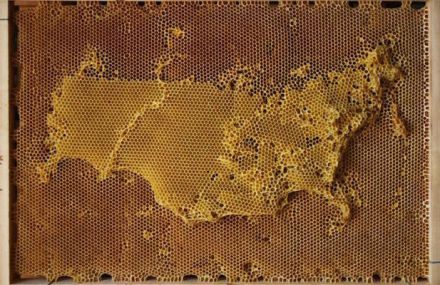 Beeswax Maps Of The World