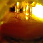 Honey Directly From The Beehive_2