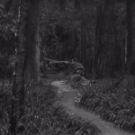 How Akira Kurosawa Composed Movement_3