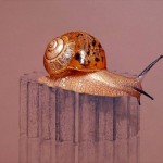 Hyperrealistic Animal Paintings_7