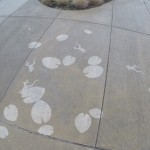 Illustrations on Sidewalks Appear When Raining_2