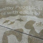 Illustrations on Sidewalks Appear When Raining_5