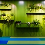 Inside Candy Crush Office_6