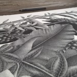 Into The Wild Illustration_11
