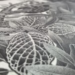 Into The Wild Illustration_2