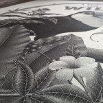 Into The Wild Illustration_5