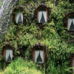 Magic Mountain Lodge_3