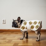 Big Mac Dog